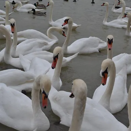 Gostisce Jezero Medvode
