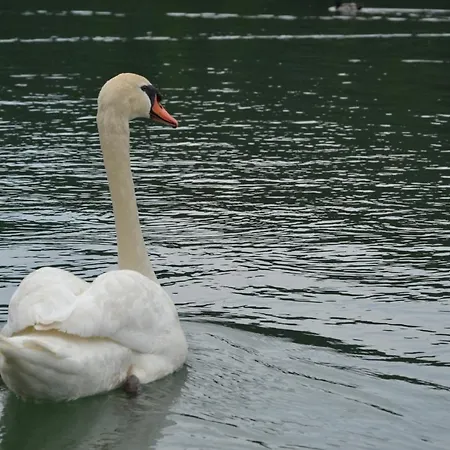 Gostisce Jezero 3*