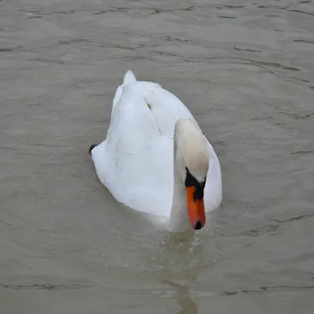 Gostisce Jezero 3* Medvode